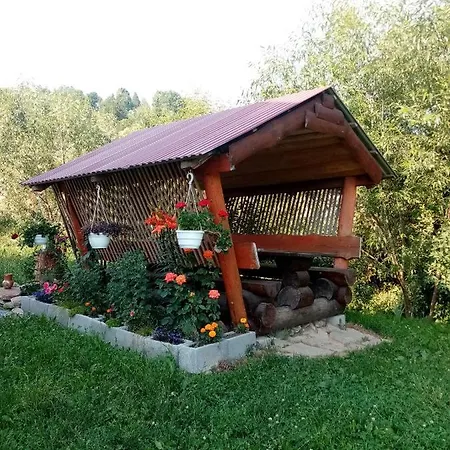 Sunny House * Pilipets