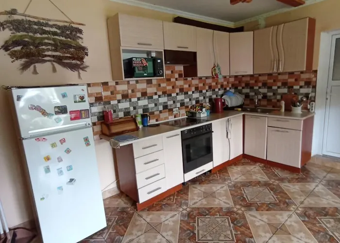 Πανσιόν Sunny House Pilipets